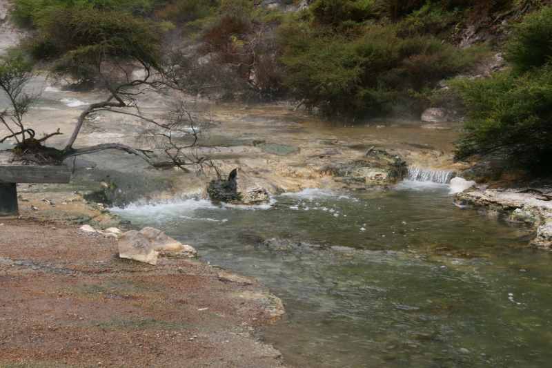 Nieuw-Zeeland 2011 - 0697